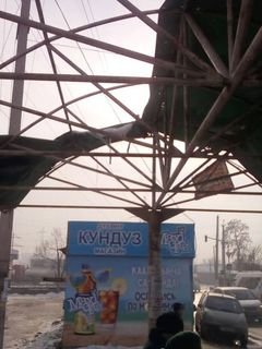Житель просит отремонтировать крышу остановки в Лебединовке (фото)