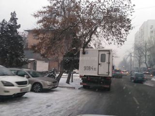 Читатель просит не парковать грузовое авто на проезжей части ул.Панфилова (фото)