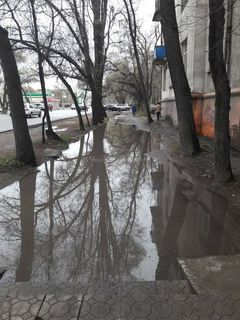 На тротуаре на Толстого-Фатьянова после дождей образовываются большие лужи (фото)