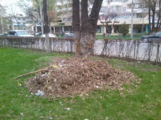 По пр. Мира не убрали мусор после субботника, - читатель <b>(фото)</b>