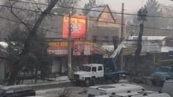 Зачем на Киевской пилят ветки деревьев и оставляют голый ствол? - горожанин