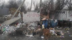 Бишкекчанка жалуется на мусор на ул.Усенбаева. Фото