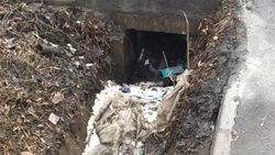 Горожанин жалуется на мусор в арыке на Сыдыгалиева. Фото
