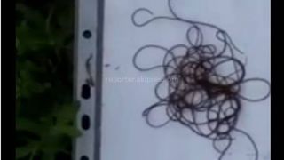 Госсанэпиднадзор: В селе Маевка при отборе проб воды со скважин черви не обнаружены