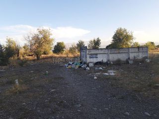 В мкр №1 в Токмоке мусор не убирают вовремя (фото)