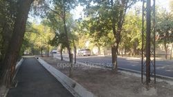 Будет ли газон между новой дорогой и тротуаром на Интергельпо? Ответ мэрии
