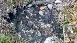 На Жукеева-Пудовкина арык забит мусором. Видео
