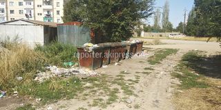 В городе Каракол на улице Гагарина не вывозят мусор