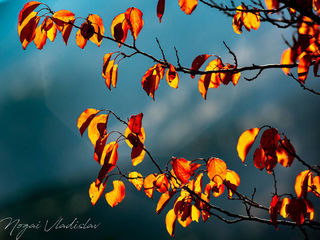 Фото - Осень в природном парке «Ала-Арча»