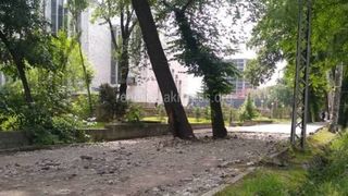 «Бишкекасфальтсервис» до конца июня заасфальтирует тротуар возле ЗАГСа, - мэрия