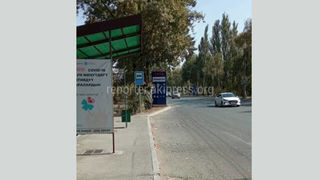 Законно ли установили табло с ценами на бензин по ул.Анкара? Ответ «Бишкекглавархитектуры»