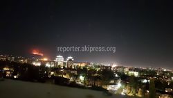 На окраине Бишкека горят холмы. <b>Фото</b>