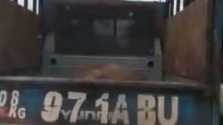 В Бишкеке водитель «Портера» вез мертвую корову в сторону Ошского рынка, - очевидец (видео)