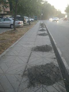 На Толстого-Тыныстанова не убирают грязь, которую вытащили из дренажного арыка (фото)