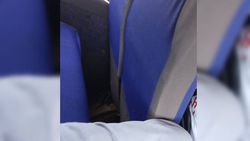 В маршрутном такси №8 в Токмоке расстояние между сиденьями не соответствуют нормам (фото)