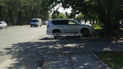 На ул.Льва Толстого водитель «Лексуса» припарковался на тротуаре (фото)