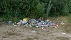 В Чолпон-Ате с пляжа возле ипподрома не вывозят мусор (видео)