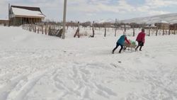 В селе Дархан Иссык-Кульской области нет чистой питьевой воды, - жители