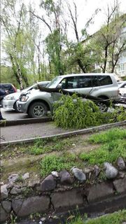 В Бишкеке на участке ул.Элебаева большая ветка упала на машину (фото)