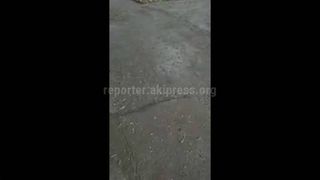Видео – В Кара-Балте пошел дождь с градом
