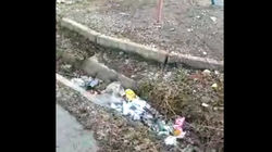Бишкекчанка жалуется на дворы, «утопающие в мусоре»