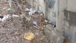 Горожанин жалуется на мусор около военкомата Свердловского района. Видео