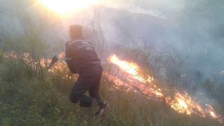 <b>Пожар в лесу Кара-Арча.</b> Горят растения <i>(видео, фото)</i>