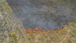 На Айтматова горит сухотравье. Фото с дрона