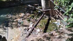 Горожанин жалуется на мусор под мостом на Физприборах. Фото