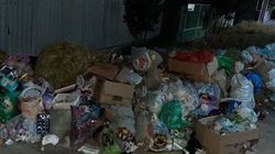 На Тулебердиева мусор лежит с субботы. Фото жителя
