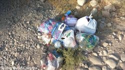 На Тимура Фрунзе не убирают мусор. Фото и видео горожанина