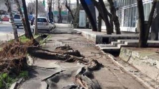 Титульный список по капитальному ремонту тротуаров еще не утвержден, - «Бишкекасфальтсервис»