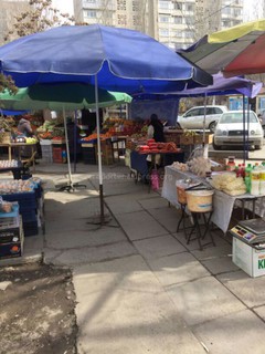 В мкр Асанбай действует мини-рынок, где полная антисанитария, - читатель (фото)