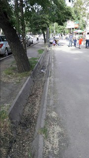 Житель Бишкека просит очистить арыка на перекрестке Абдрахманова-Московской (фото)