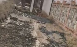 В Арча-Бешике на ул.Абдрахманова вода с дороги рушит фундамент дома, - читательница (видео)