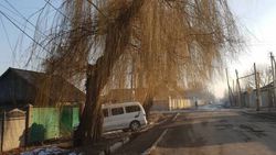 На Абаканская-Белгородская два дерева и столб относятся к г.Бишкек, - Сокулукский акимиат