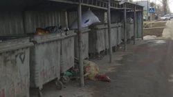 На ул.Щербакова возле мусорных баков лежит мертвый баран, - бишкекчанин (фото)