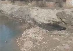 В Бишкеке на проспекте Жибек-Жолу в реке Ала-Арча мазут, - житель (видео)