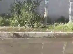 В мкр. Учкун на Сатыбалдиева–Чункурчак разливается вода с колодца на дорогу (видео)