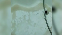 В городе Балыкчы в домах больше месяца течет грязная вода (видео)