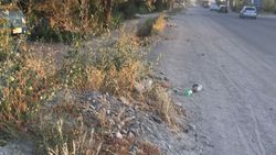 На улице Муромской вдоль дороги разбросан мусор (фото)
