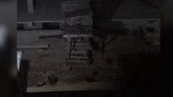 В мкр Тунгуч на ул. Исакеева стаи бродячих собак мешают спать (видео)