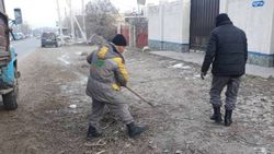 «Бишкекзеленхоз» очистил мусор на обочине дороги на ул.7 Апреля