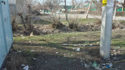 Территория на пересечении улиц Труда и Луговой в Кара-Балте завалена мусором, - жительница
