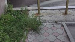 Тротуар по ул.Рыскулова упирается в никуда, - горожанин