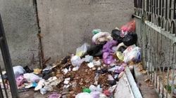 Горожанка жалуется на мусор между домами на ул.Киевской. Фото