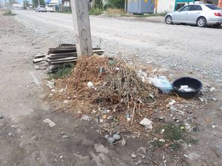 В центре Каракола мусор складируют на дороге (фото)
