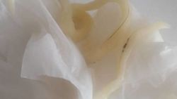 Горожанин обнаружил волос в тесте для лагмана в кафе на Орто-Сайском рынке. Фото