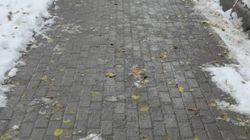 «Тазалык» почистил тротуар на Токтогула. Фото