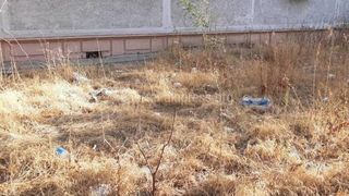 Сотрудники МТУ и жители убрали газон возле дома по Чокморова, - мэрия